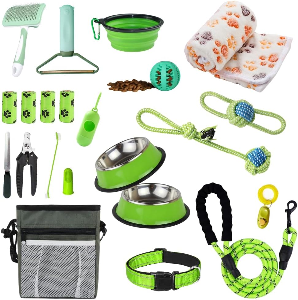 Assorted pet supplies including bowls, leashes, and toys on a white background