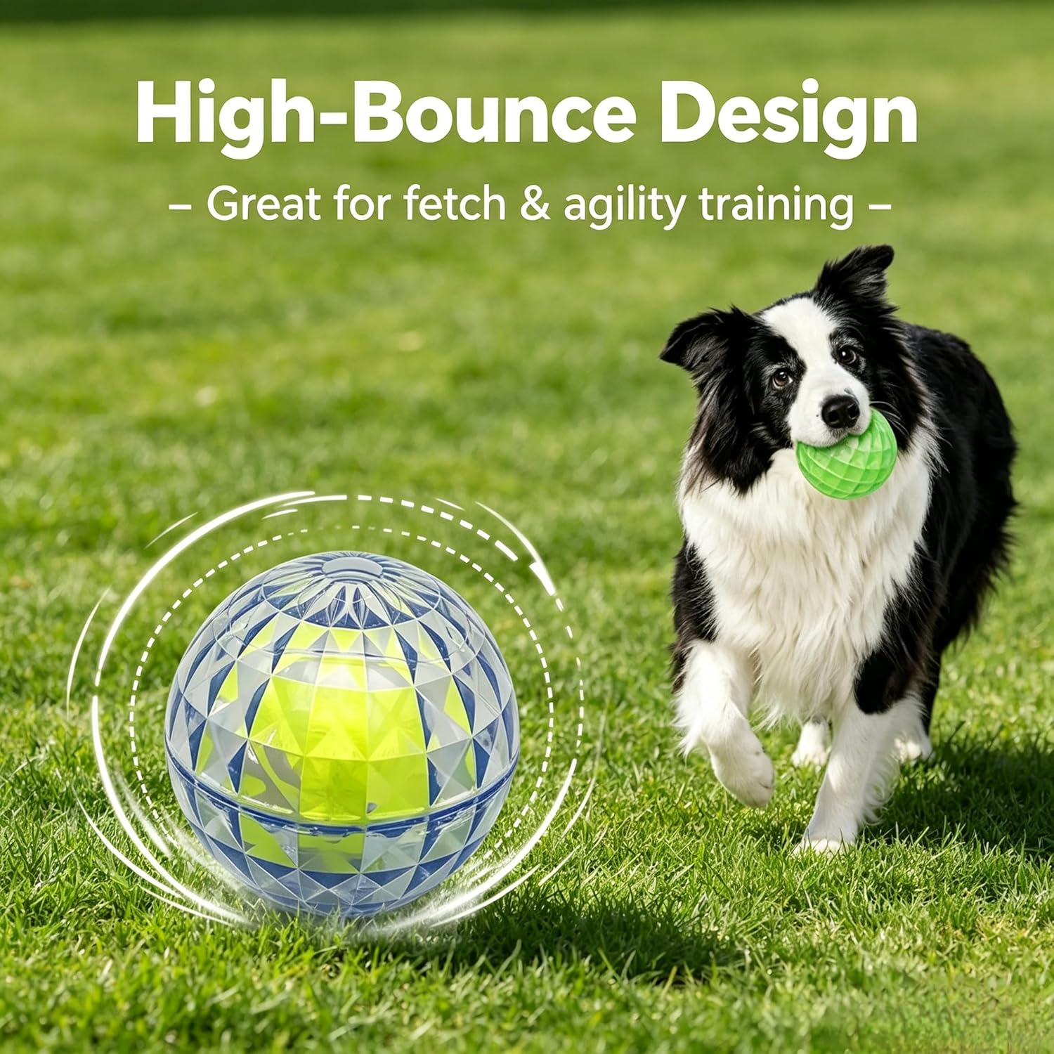 A black-and-white dog running on green grass with a bright green ball in its mouth, next to a blue and neon yellow high-bounce training ball with graphic motion lines and the text 'High-Bounce Design - Great for fetch & agility training -'.