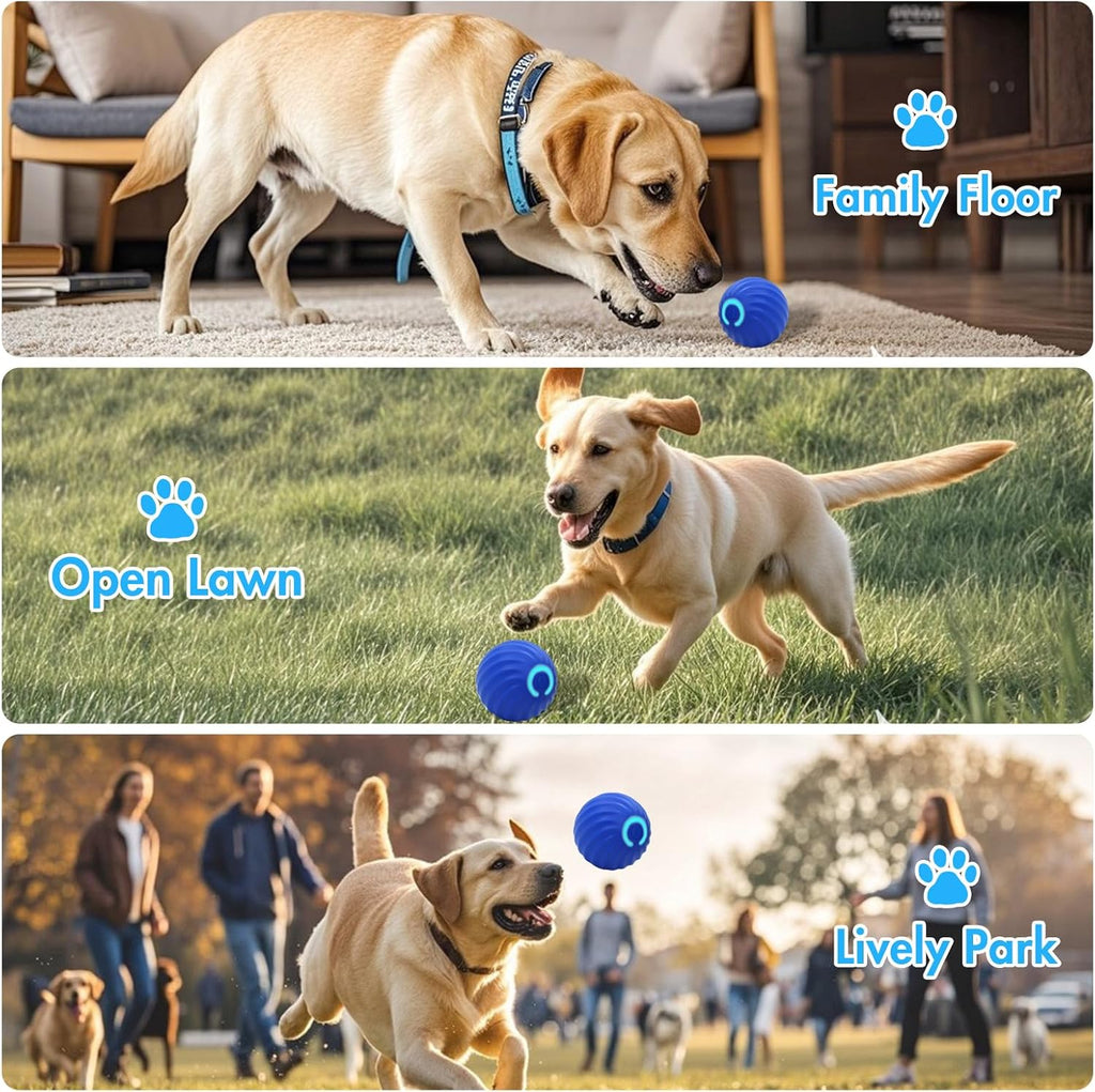 Interactive Dog Ball Toys for Pet Dogs,Smart Electric Small Medium Dog Toys to Keep Them Busy,Automatic Rolling Jumping Balls with 2 Cover for Dogs,Rechargeable Balls,Not for Aggressive Chewers,Blue