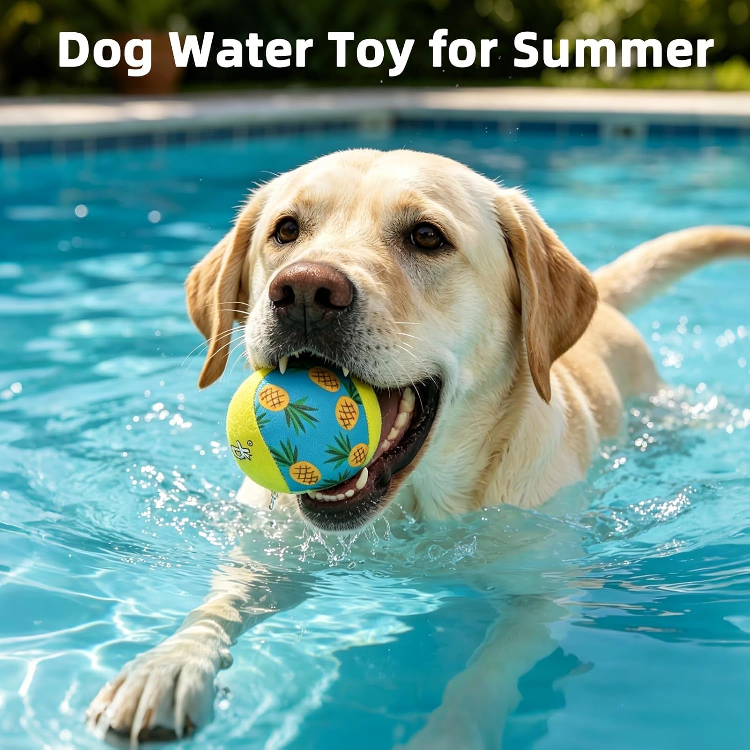 Floating Dog Pools Water Toys, Bouncing Balls 2 Pack for Summer Swimming Pool Games, Interactive Puppy Training Toy with Cute Pineapple and Watermelon Pattern