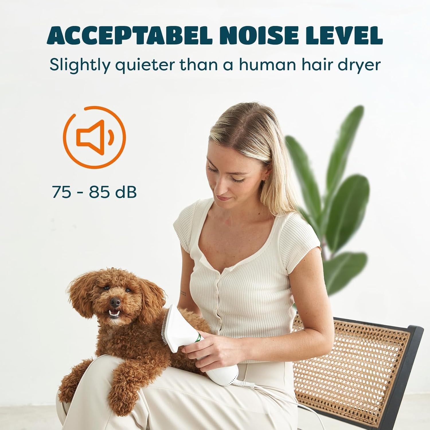 2-In-1 Dog Hair Dryer with Brush for Small Dogs and Cats, Pet Blow Dryer | Pet Grooming Dryer, Dry & Brush in One, 300 Watts, 75-85 Db, Adjustable Temperature, Overheat Protection, Portable