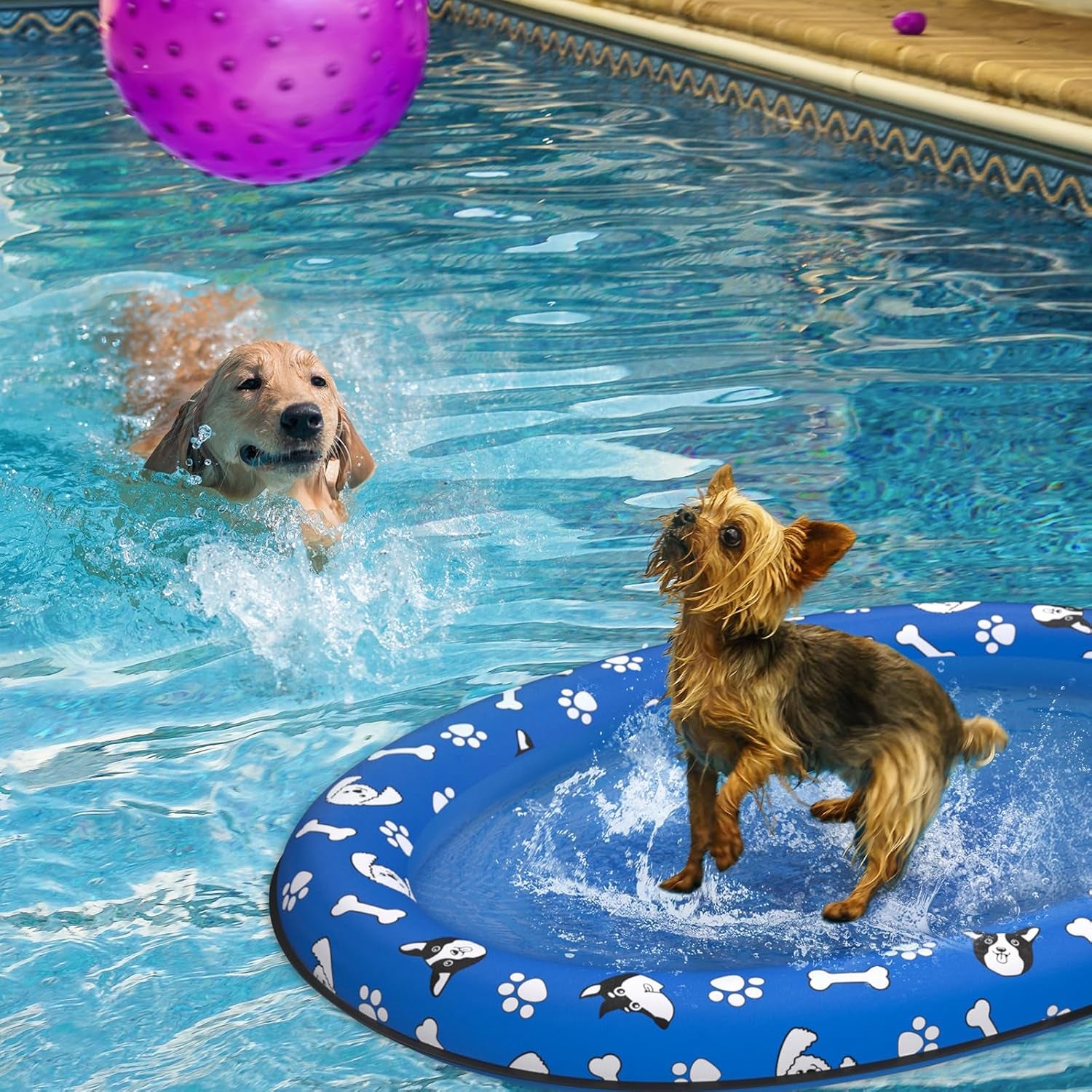 Dog Float Raft - Inflatable Dog Swimming Float for Summer Dogs Water Floats