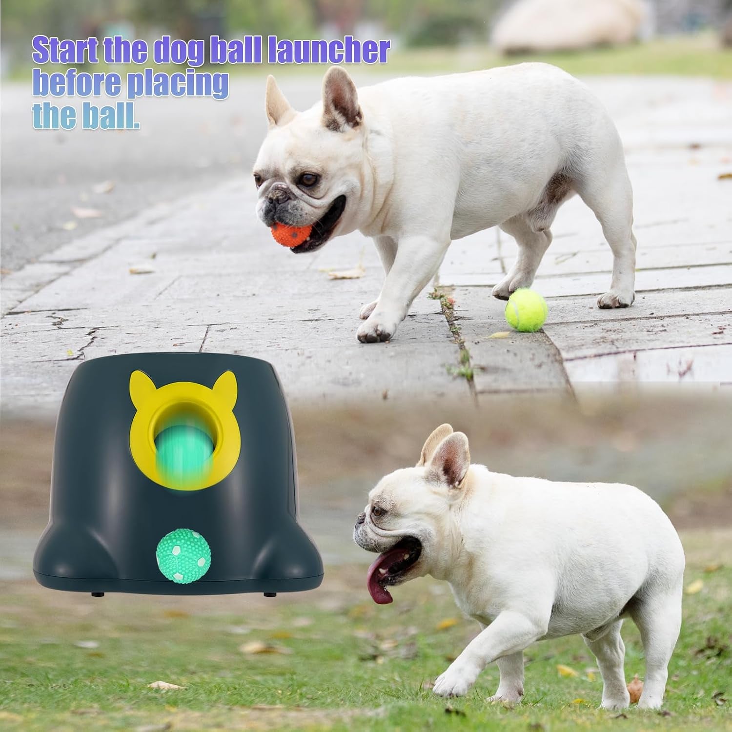 Automatic Ball Launcher for Dogs, Dog Fetch Ball Thrower Launcher, 3 Adjustable Distances, Interactive Pet Self Playing for Small Dogs and Puppies with 10 Balls (2 Inches)
