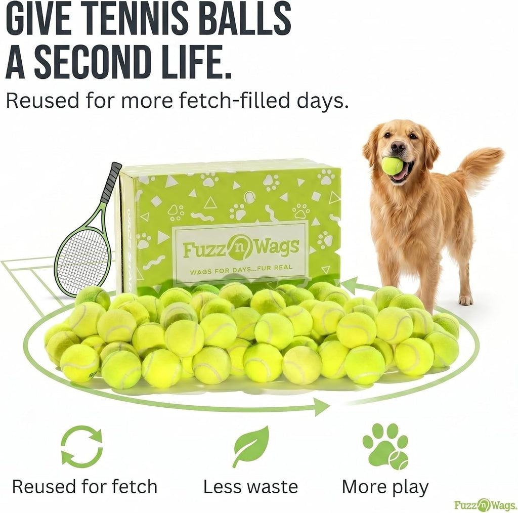 Endless Fetch Box, 100 Tennis Balls for Dogs, Recycled Real Tennis Balls, Bulk Tennis Balls for Dogs, Recycled Used Tennis Balls for Fetch & Supervised Dog Play