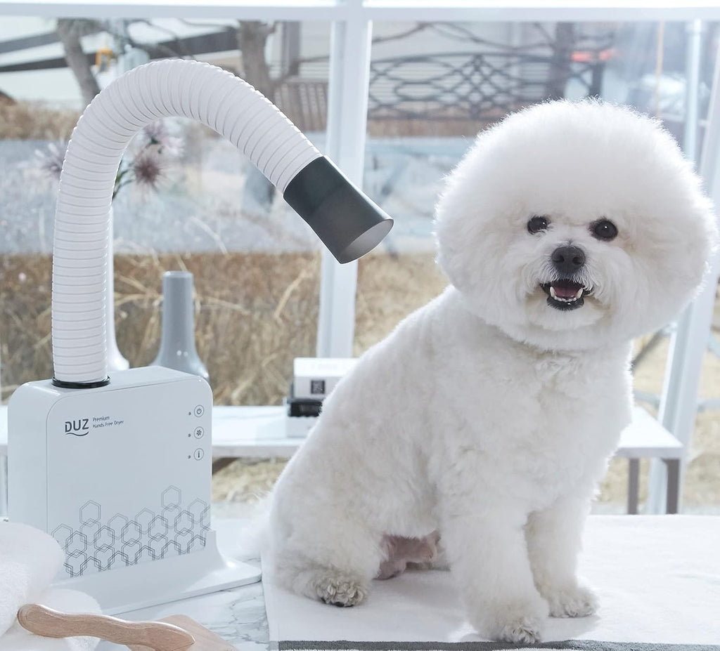 V2 Super Quiet Hands-Free Pet Dryer: Low-Noise Dog Dryer for Grooming, Reduces Labor & Stress, Ideal for Small Dogs and Cats, 1-Year Warranty