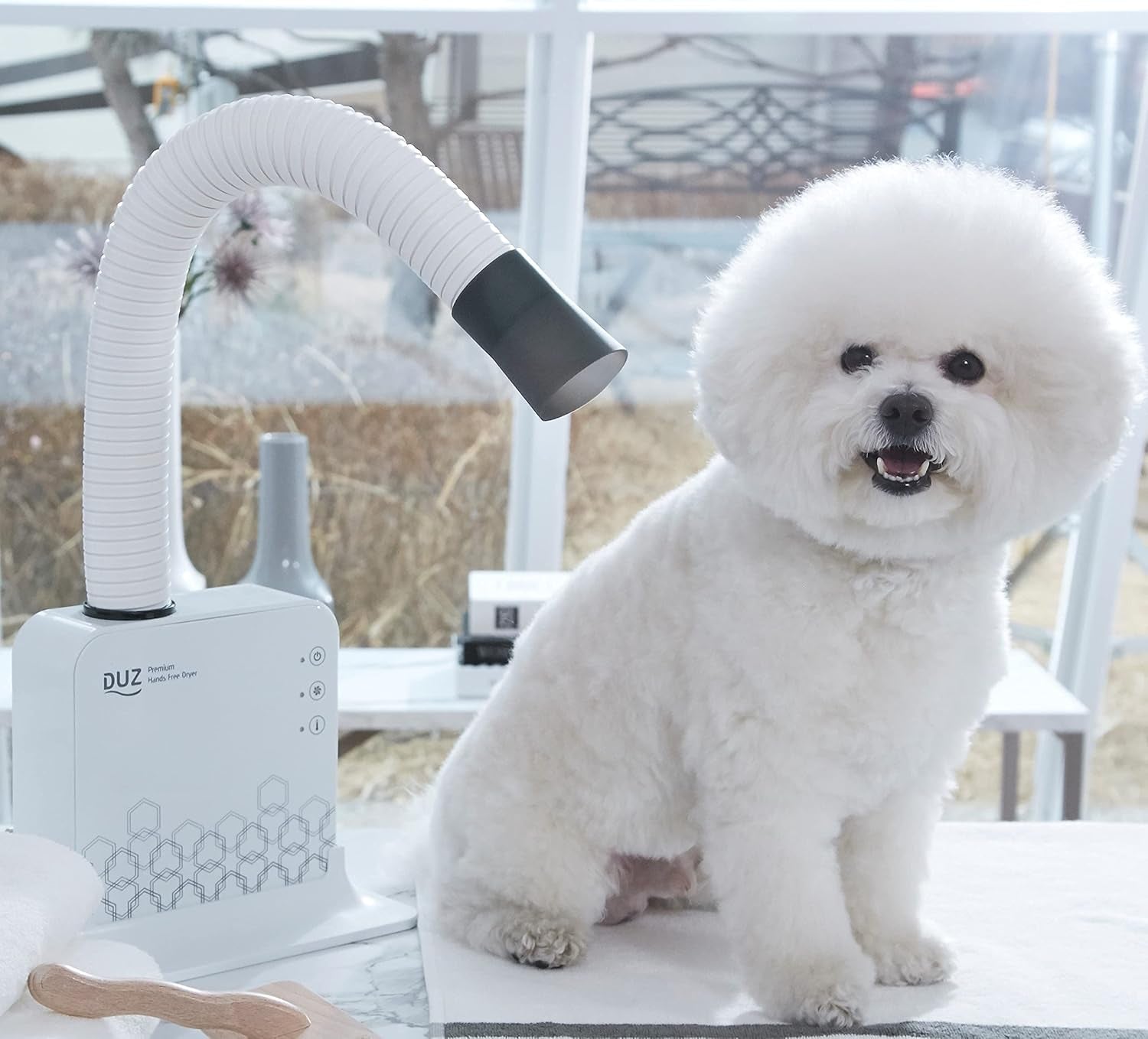 V2 Super Quiet Hands-Free Pet Dryer: Low-Noise Dog Dryer for Grooming, Reduces Labor & Stress, Ideal for Small Dogs and Cats, 1-Year Warranty