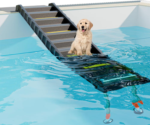 Foldable Dog Pool Ramp with 33" Legs for Free Height Adjustment,Safe & Easy Access Dog Water Ramp for Pool, Pool Ramp for Dogs up to 200Lbs (Black)