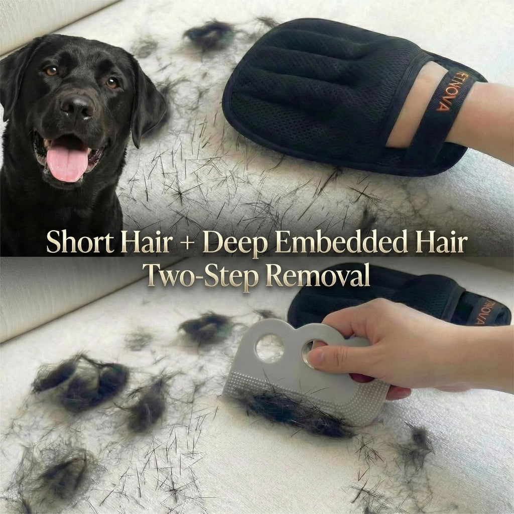 Pet Hair-Removal Glove for Couch: Deep Embedded Hair Removal Kit for Clothing Carpet Bed Curtain Cat Tree & Furniture - Includes Glove Carpet Rake & Reusable Lint Roller