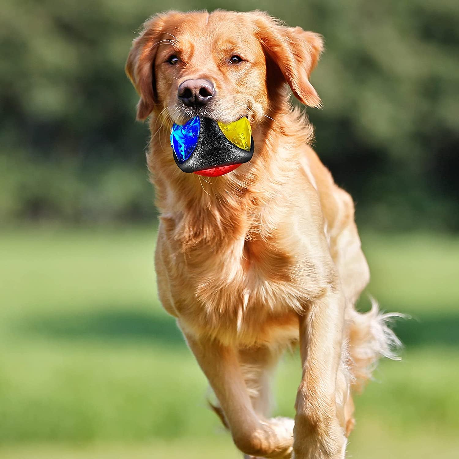 4 Pieces Light up Squeaky Dog Balls LED Flashing Light up Ball for Aggressive Chewers Glow in the Dark Flashing Ball Pet Squeaky Toy Bounce Activated Toy for Medium Small Dogs Gift