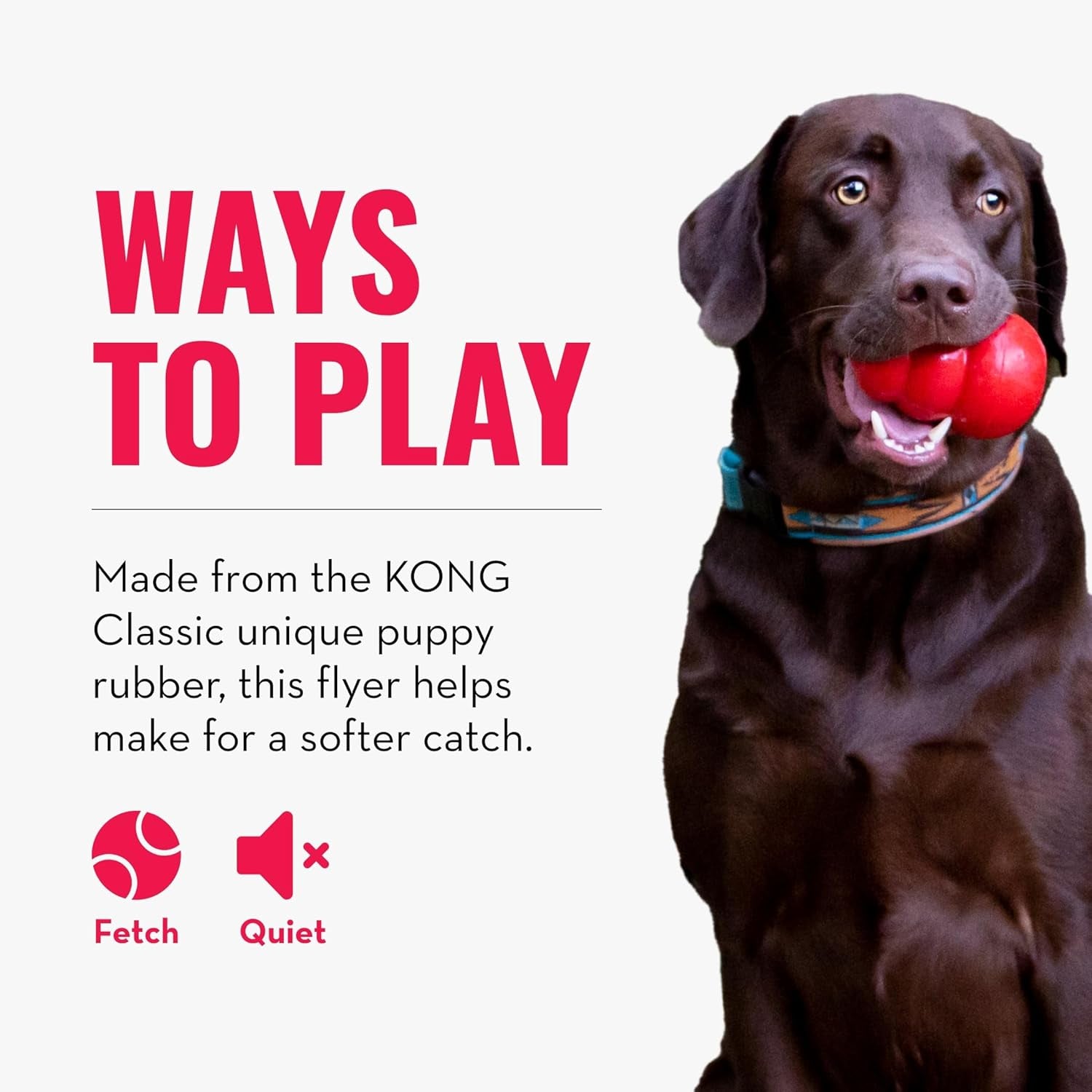Puppy Flyer - Soft Rubber Flyer Dog Toy - Flying Disc Dog Toy - Gentle Rubber Toy for Growing Puppies - for Small Puppies - Randomly Provided Color