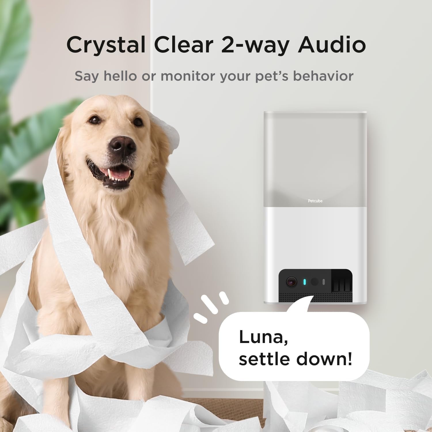 Bites 2 Lite Interactive Wifi Pet Monitoring Camera with Phone App and Treat Dispenser, 1080P HD Video, Night Vision, Two-Way Audio, Sound and Motion Alerts, Cat and Dog Monitor