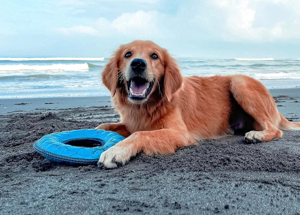 Superchewy Tough Floating Dog Water Toy Strong Natural Rubber | Great Dog Fetch Toy | Pool Swimming Toy for Puppy| Durable Training Toy for Non-Aggressive Chewers