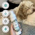 Poo-Pourri Rinse-Free Deodorizing Dry Shampoo for Dogs & Cats – Moisturizing Skin & Coat Soothing Formula - Plant Based Ingredients – Pineapple, Jasmine & Pear – No Rinse Foam Shampoo for Pet Odor