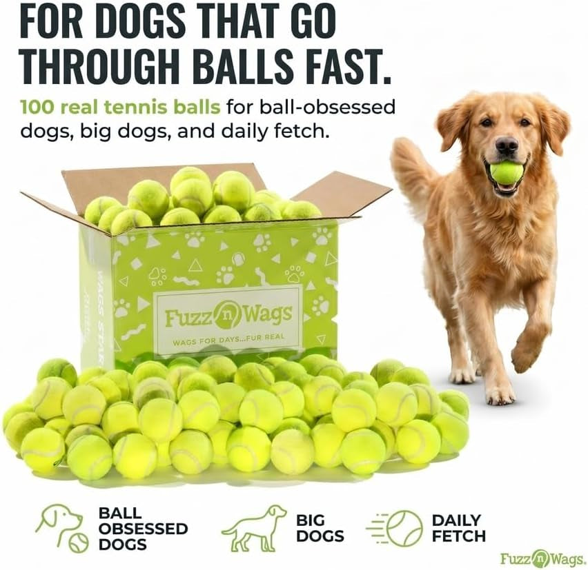 Endless Fetch Box, 100 Tennis Balls for Dogs, Recycled Real Tennis Balls, Bulk Tennis Balls for Dogs, Recycled Used Tennis Balls for Fetch & Supervised Dog Play