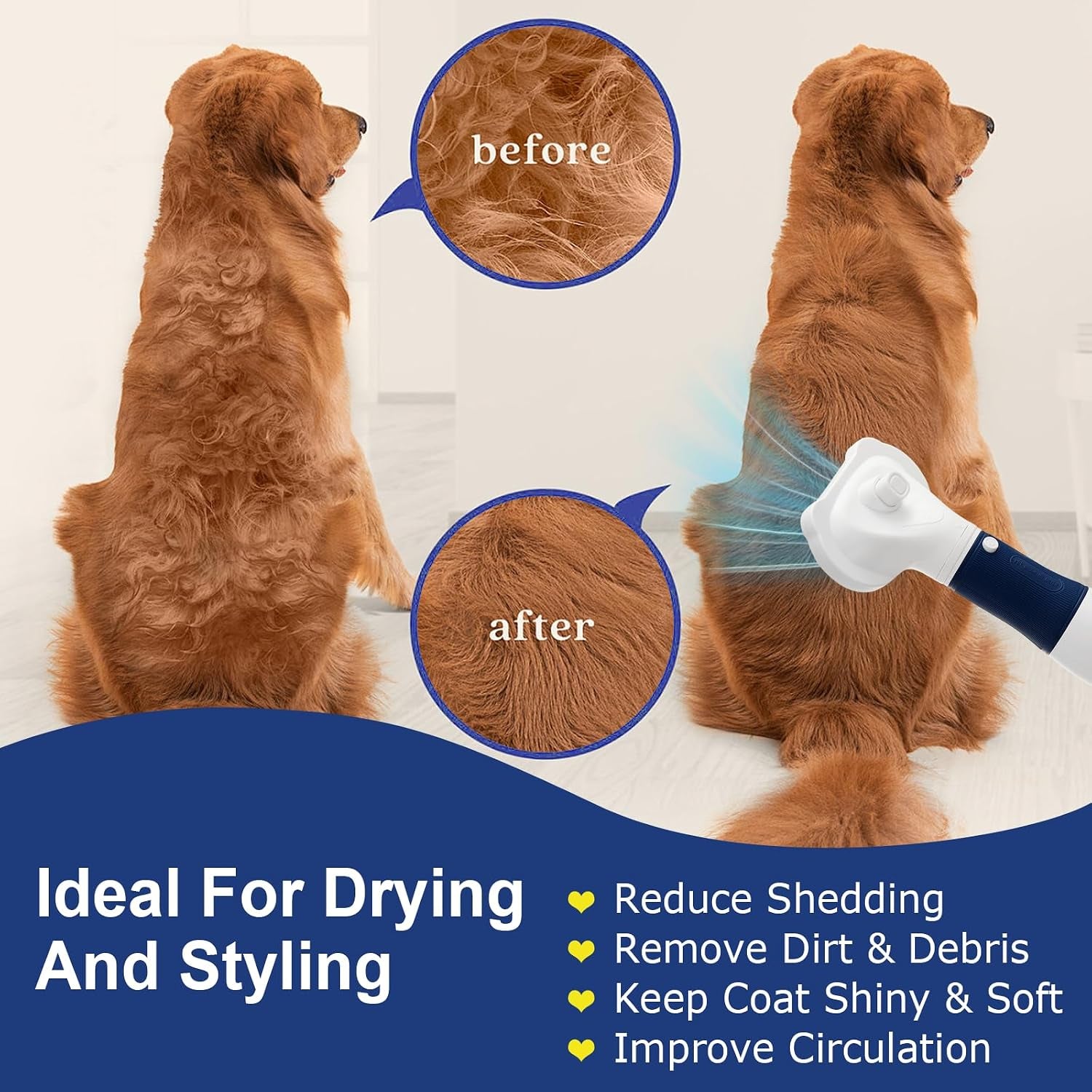 3-In-1 Pet Hair Dryer & Slicker Brush for Dogs & Cats – Portable, Professional, Adjustable Temp, Overheat Protection Dog Hair Dryer (Blue)