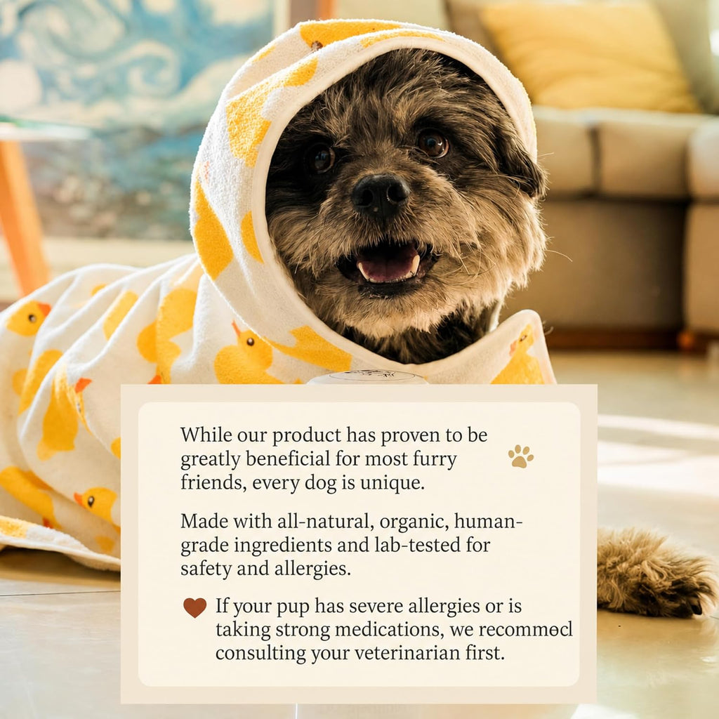 Dry Shampoo for Dogs – Antifungal Itchy Skin & Hot Spot Relief, Yeast Infection & Paw Licking Treatment, Dog Powder with Allergy Support & Odor Relief