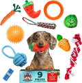 9-Pack Dog Toys for Small & Medium Dogs – Puppy Toys Set with Rope Toys, Chew Toys, Tug Toys, Plush & Squeaky Toys – Dog Toy Variety Pack
