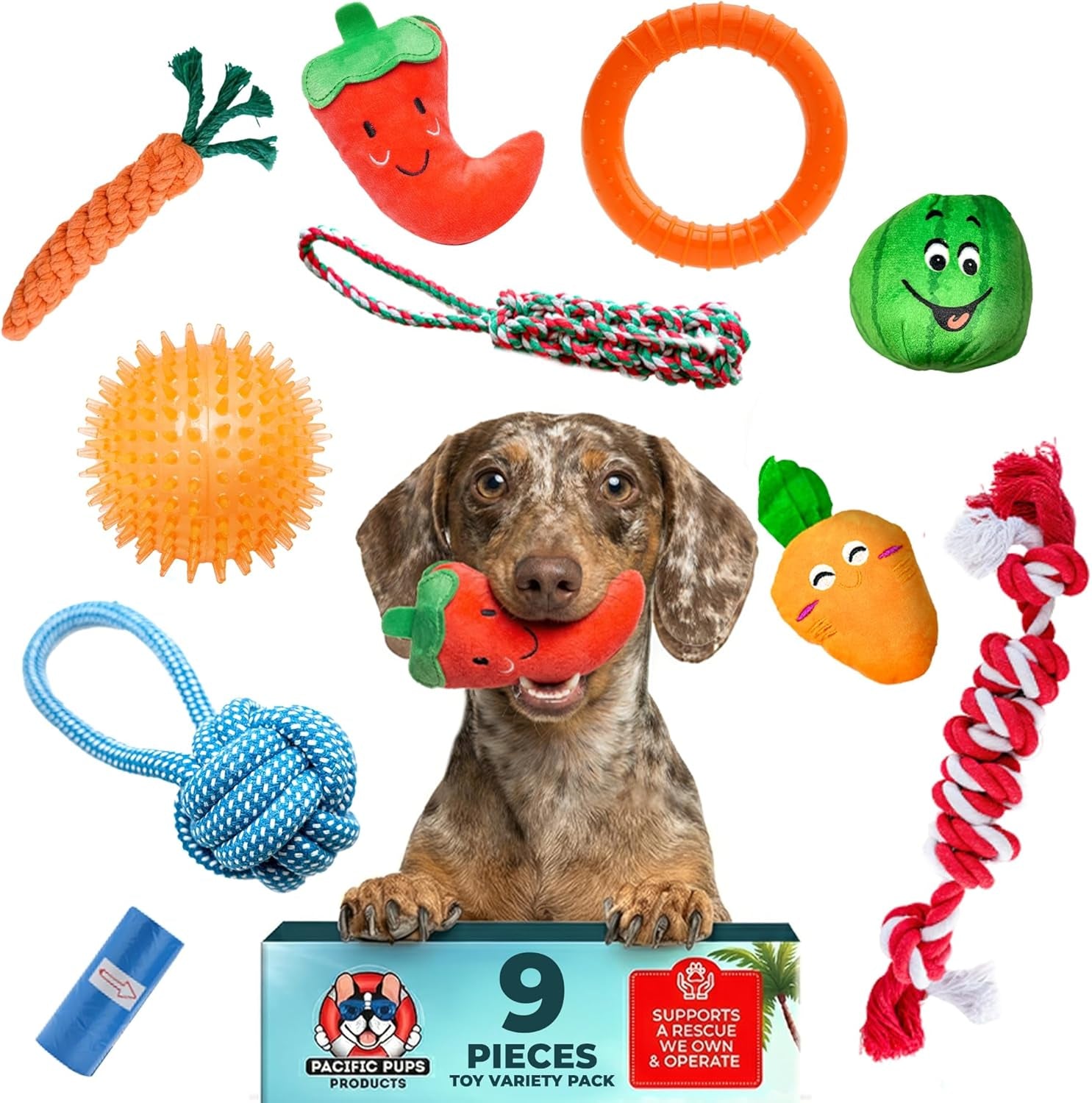 9-Pack Dog Toys for Small & Medium Dogs – Puppy Toys Set with Rope Toys, Chew Toys, Tug Toys, Plush & Squeaky Toys – Dog Toy Variety Pack