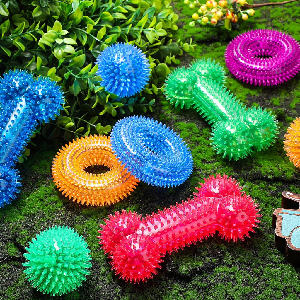 9 Pcs Dog Squeaky Toys Set, Gift for Dog Squeaky Balls Donut Bone Shape Teething Toys for Small Medium TPR Rubber Pet Chew for Training Fetching Teething