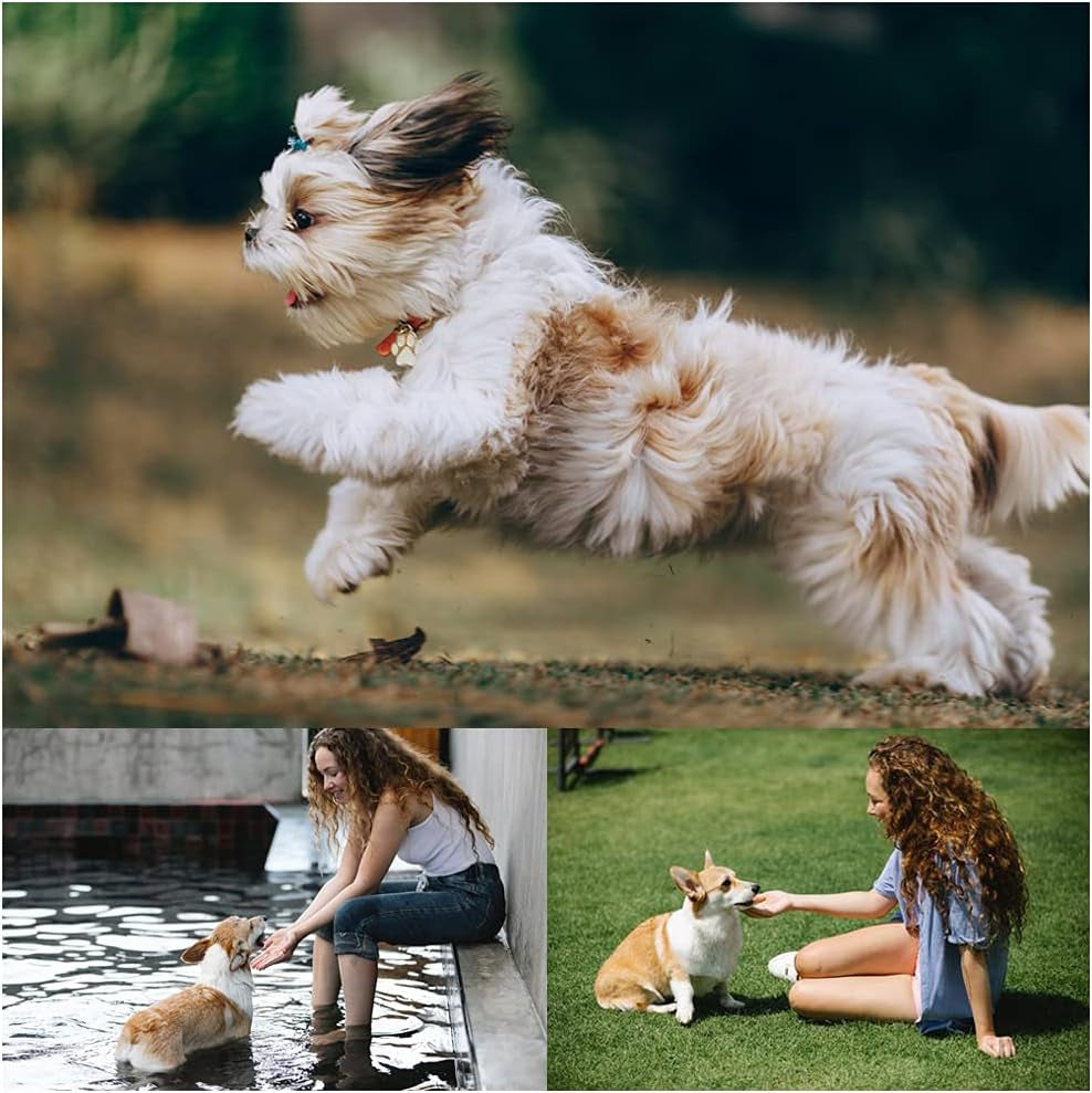 6 Pack Dog Flying Discs - Interactive, Soft Floating Saucer for Small, Medium Dogs - Safe on Teeth