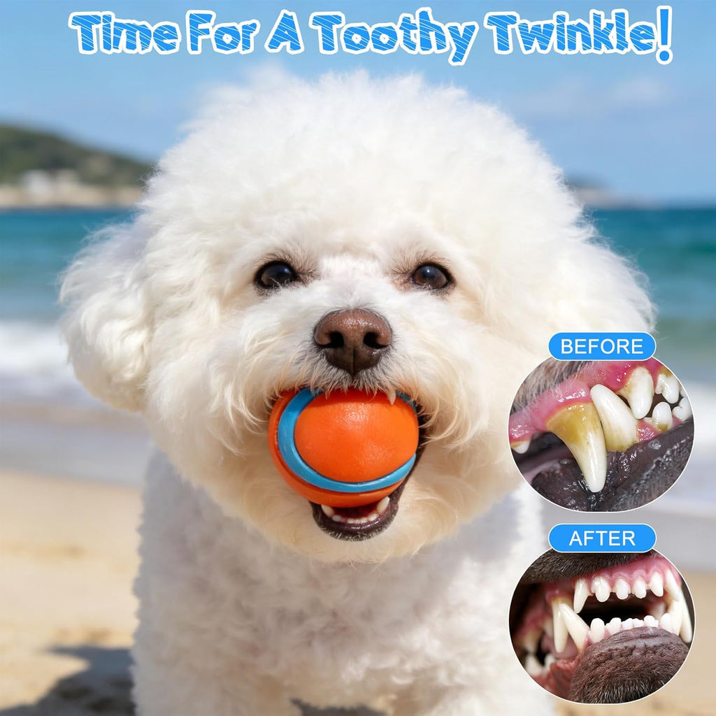 Floating Dog Water Pool Toys - 4 Pack Interactive Water Retrieving Fetch Speaky Chew Toy for Small Medium Large Dogs, Durable Dog Chew Toys for Summer Essentials Outdoor Beach Yard