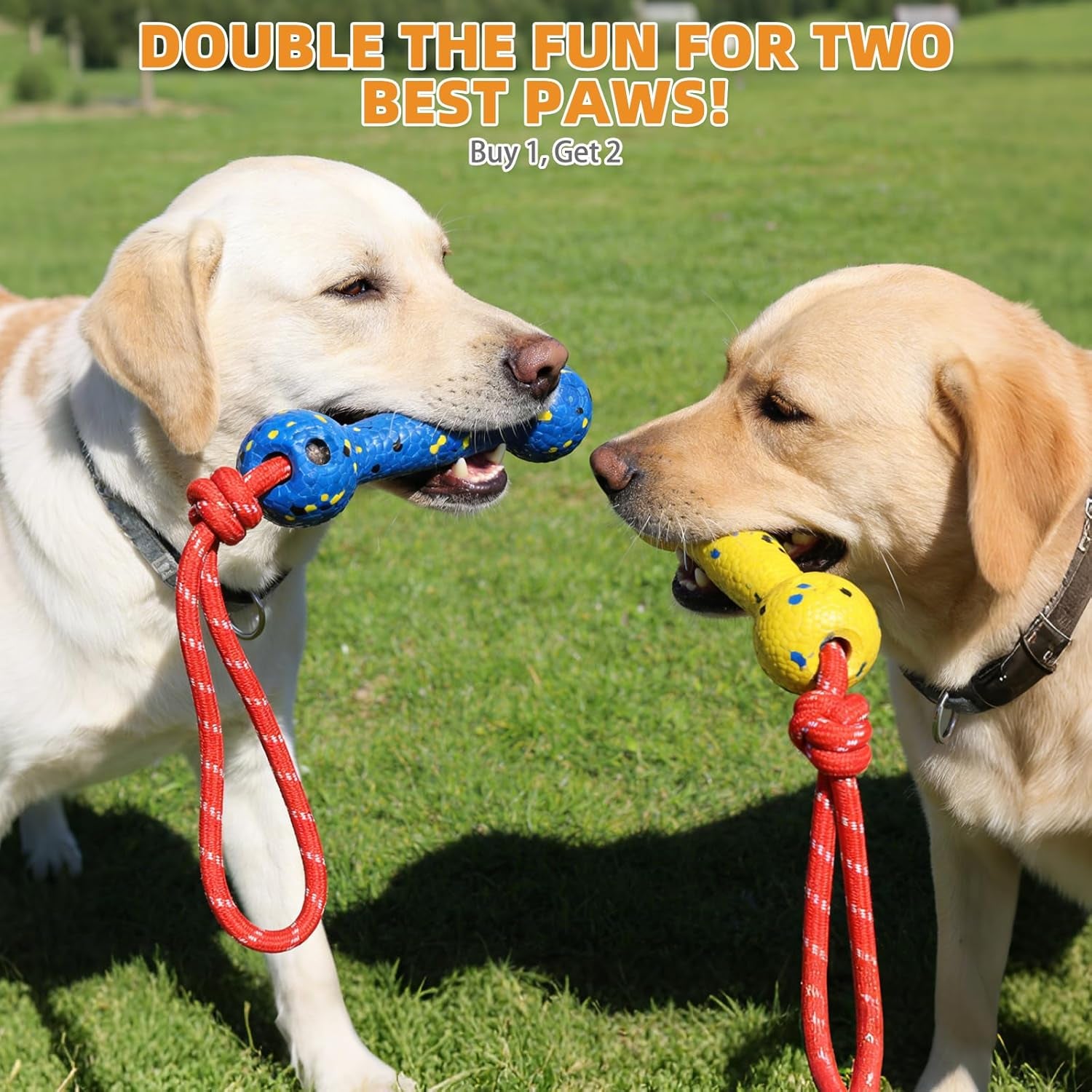 Floating Dog Pool Toys, Tough Interactive Water Fetch Bumpers with Durable Rope for Small Medium Large Dogs, 2 Pack Bright Dog Chew Toys Summer Outdoor Training Teething, Yellow&Blue