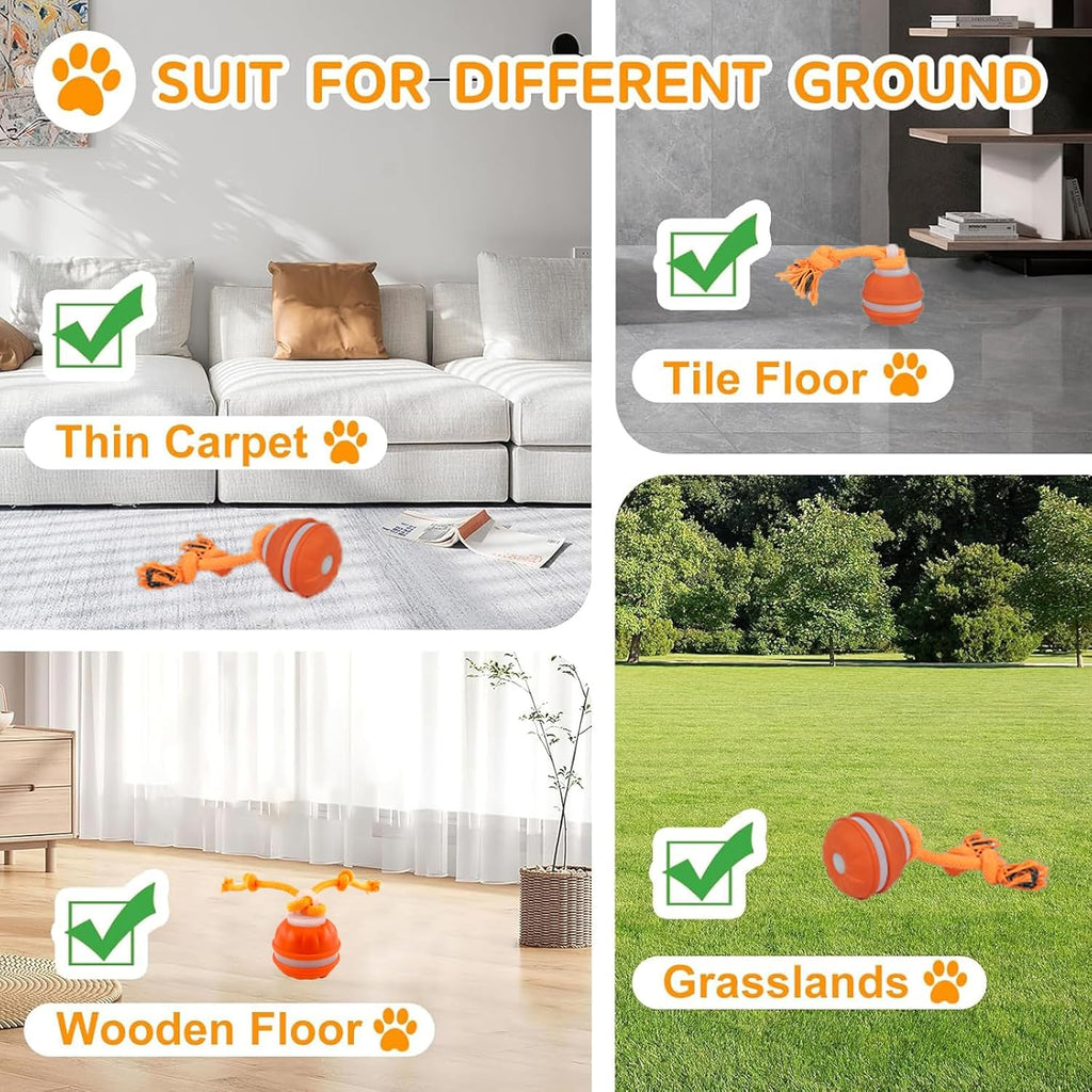 2Paks Interactive Dog Toys，Peppy Pet Ball for Dogs，Motion Activate Rolling Ball for Puppy/Medium Dogs，Active Rolling Dog Bal L Wicked Bal L for Daily Training, Dog Toys to Keep Them Busy(Blue&Orange)