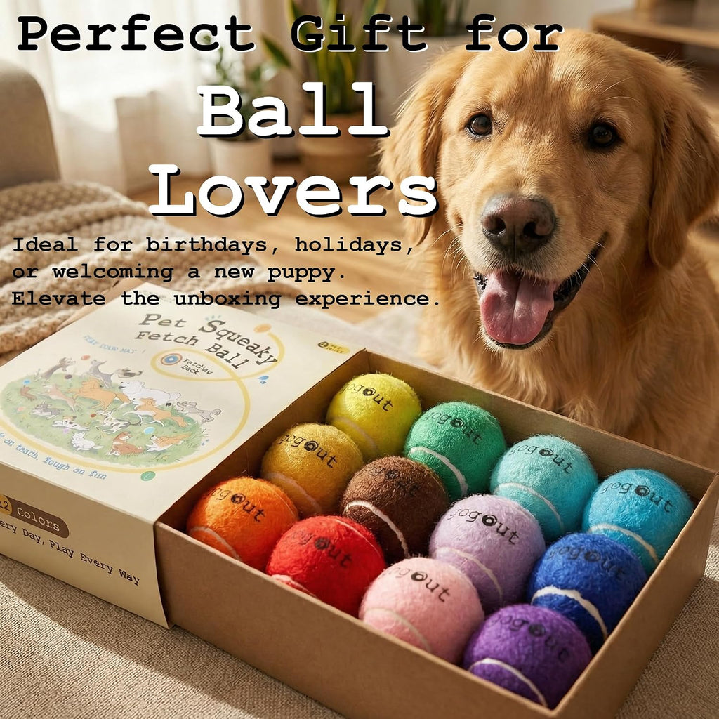Squeaky Fetch Balls for Dogs, Rainbow Dog Ball Box, Multicolor Tennis Balls for Dogs, 12 Count Gift-Ready Set, 2.5 Inch Large