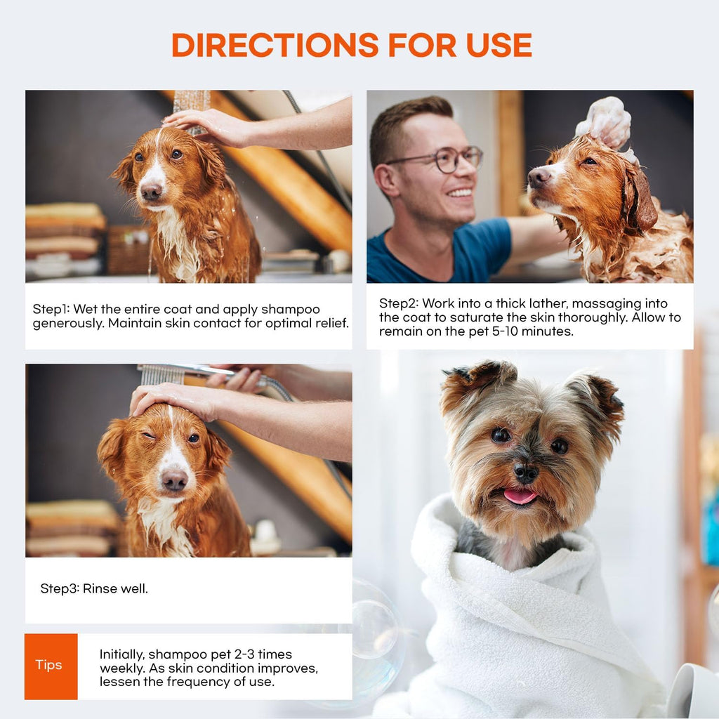 Medicated Dog Shampoo for Allergies and Itching: Antifungal Dog Shampoo, Yeast Infection and Bacterial Treatment for Dogs - Helps Hot Spots, Deodorizing and anti Itch - Healthy Skin & Coat 16 OZ