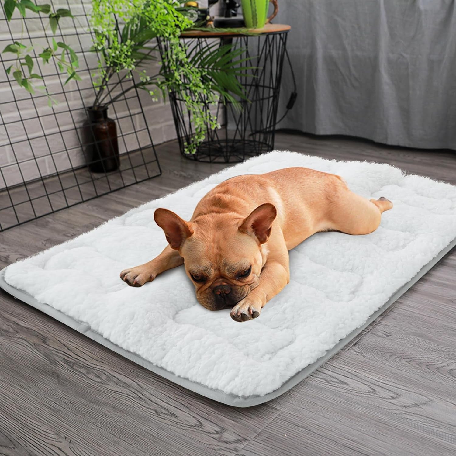 Dog Crate Mat(24" X 18"), Small Dog Bed Pad for Crate | Soft Plush Bed Pad Machine Washable, Sleeping Mat with anti Slip Bottom