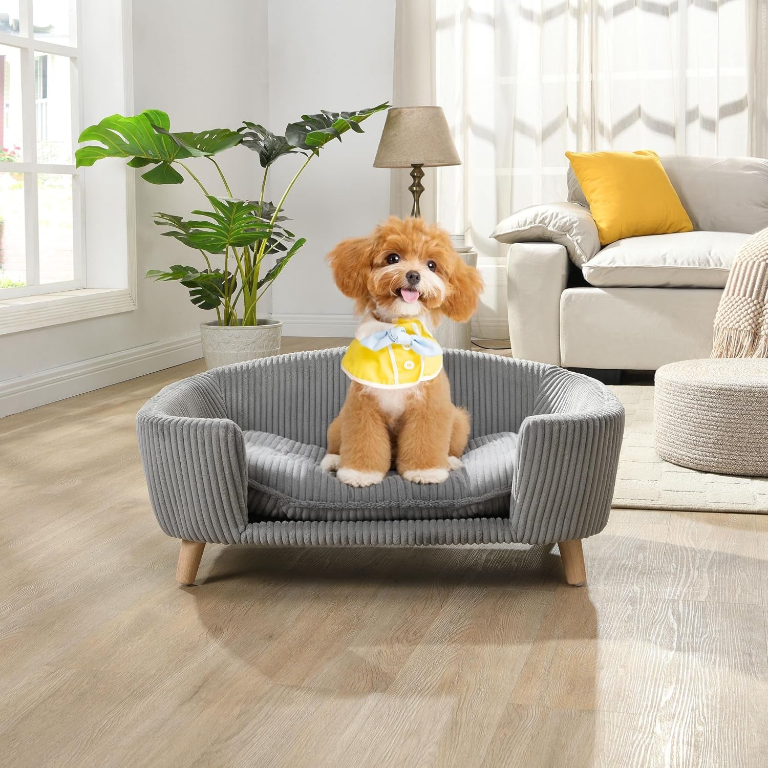 Elroy Orthopedic Dog Bed, Elevated Dog Sofa Bed for Small Dog, Supportive Foam Pet Couch Bed with Wooden Legs, Modern Pet Sofa Bed, Gray
