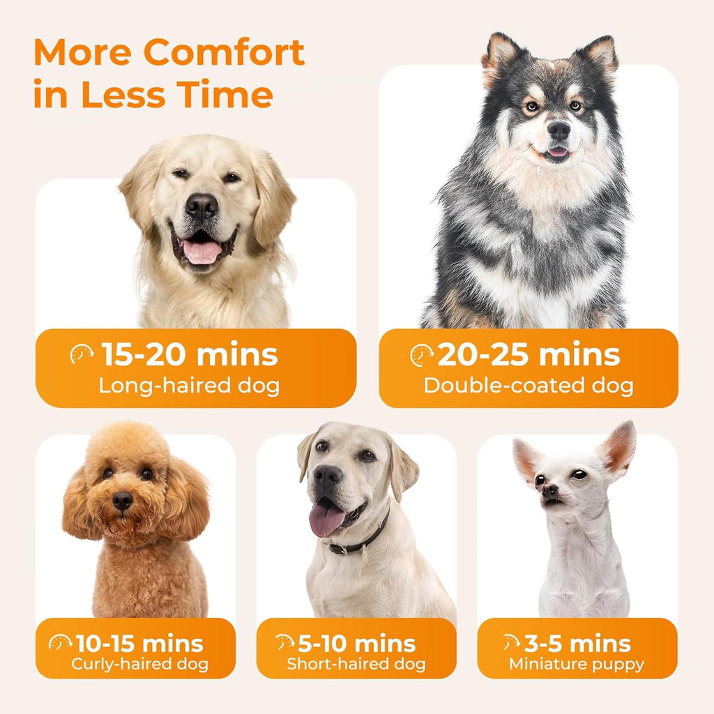 High-Velocity Dog Dryer, Adjustable Speed & Temp, 6.5Ft Cord | Heat-Resistant Hose, Pet Grooming Salon, Cool-Warm-Hot Cycle, 4 Nozzles, Soft Noise, Quick Drying, Overload Protection