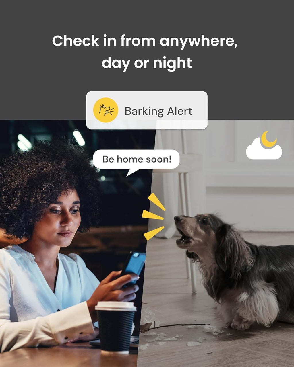 360° Dog Camera: Basic See, Talk & Toss Features, No AI Alerts, No Subscription Required, Pet Security Cam W/Barking Alerts, Rotating View, Treat Toss, 2-Way Audio, Smart Home Puppy Monitoring