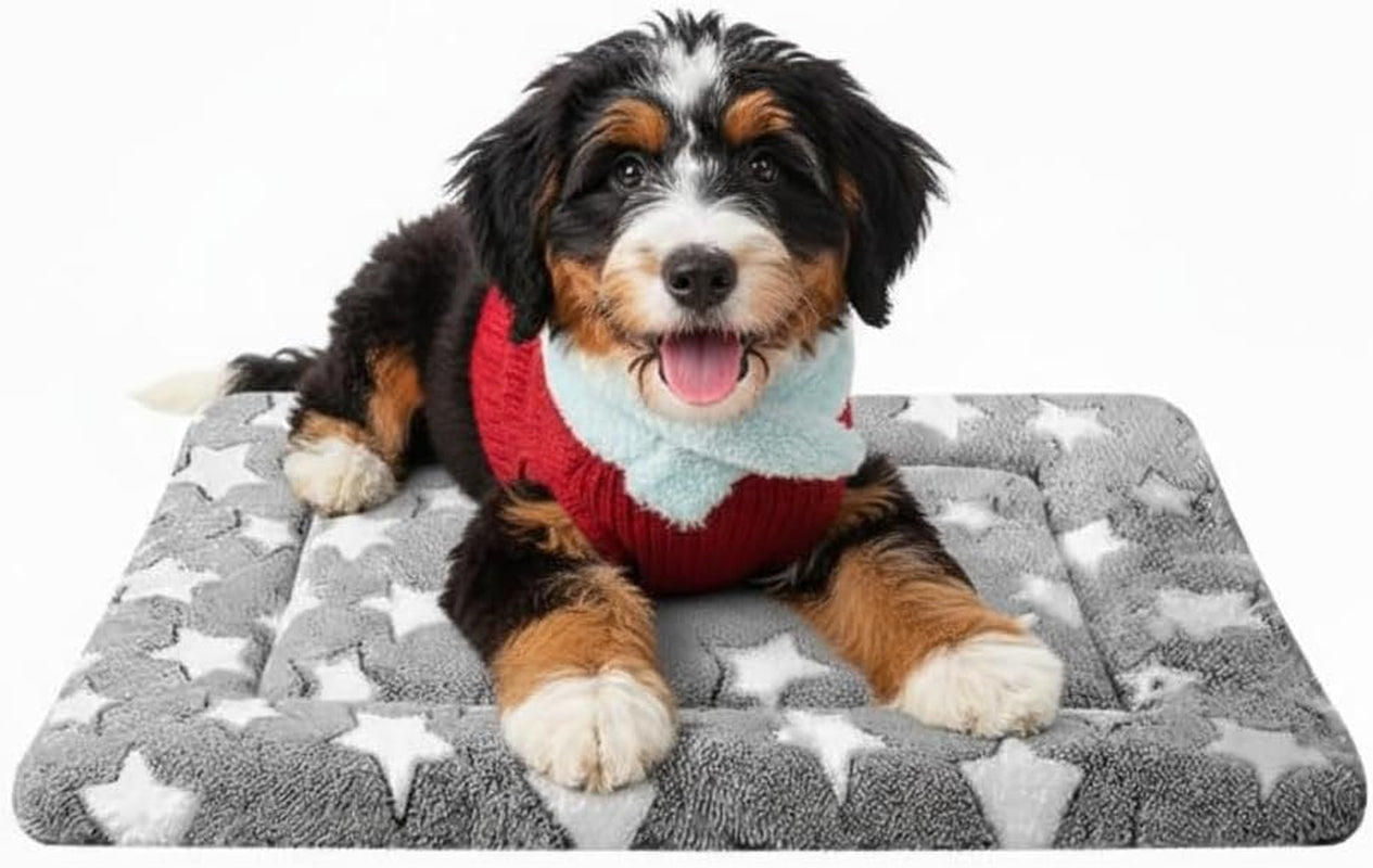 Dog Bed Mat, Reversible Dog Crate Pad for Small Medium Dogs & Cats, Soft Washable Kennel Mat with Non-Slip Bottom, Lightweight Pet Bed for Crate, Cage, Home and Travel(Gray Star, 24" L*18" W*1.5" Th)