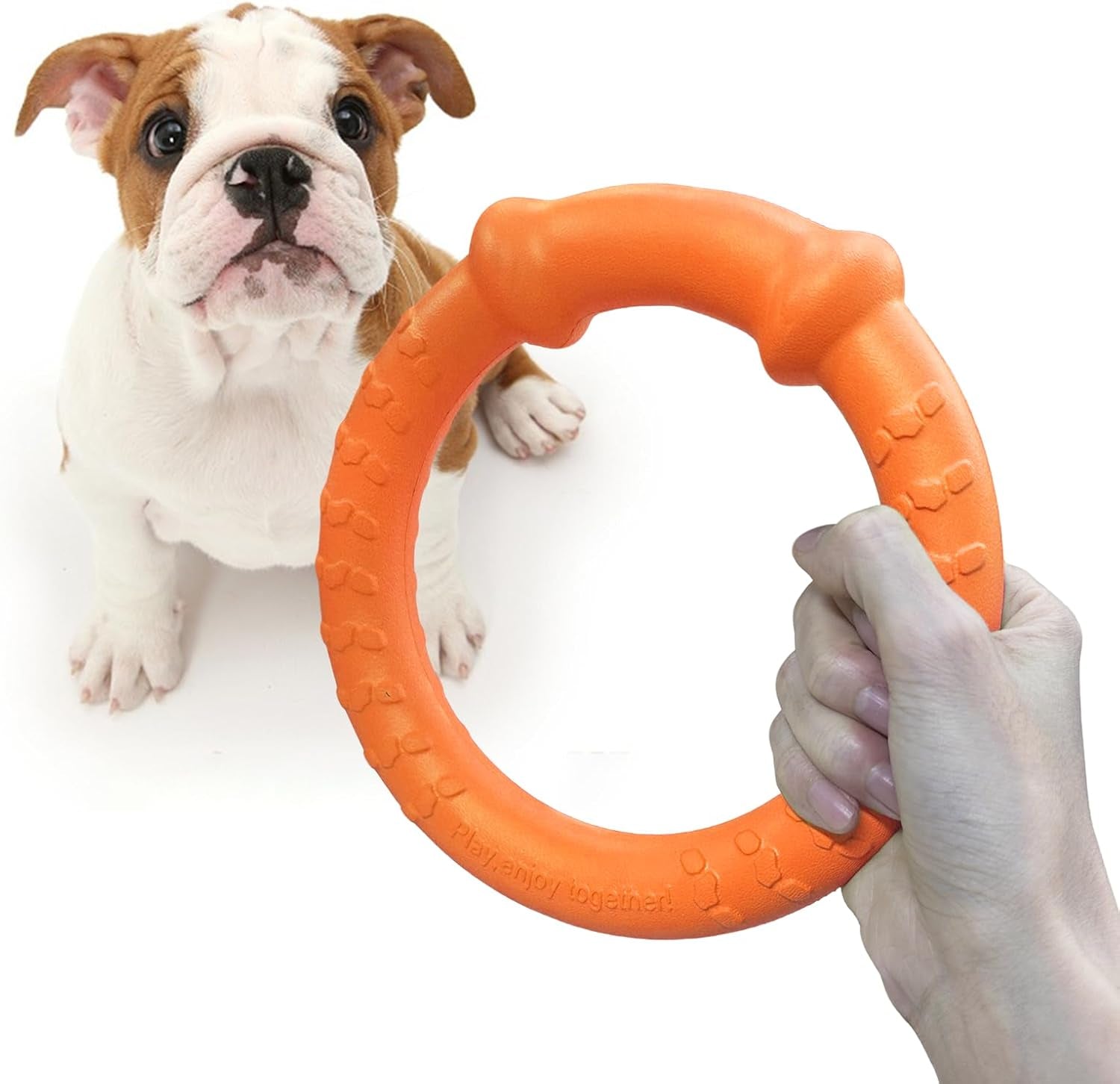 Dog Ring Toy, Durable Soft Flying Disc for Throwing Catching Grabbing, Water Floating Dog Training Fetch Ring for Medium Large Breeds, Outdoor (Green/11.8Inch)