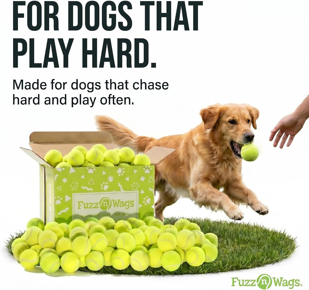 Endless Fetch Box, 100 Tennis Balls for Dogs, Recycled Real Tennis Balls, Bulk Tennis Balls for Dogs, Recycled Used Tennis Balls for Fetch & Supervised Dog Play