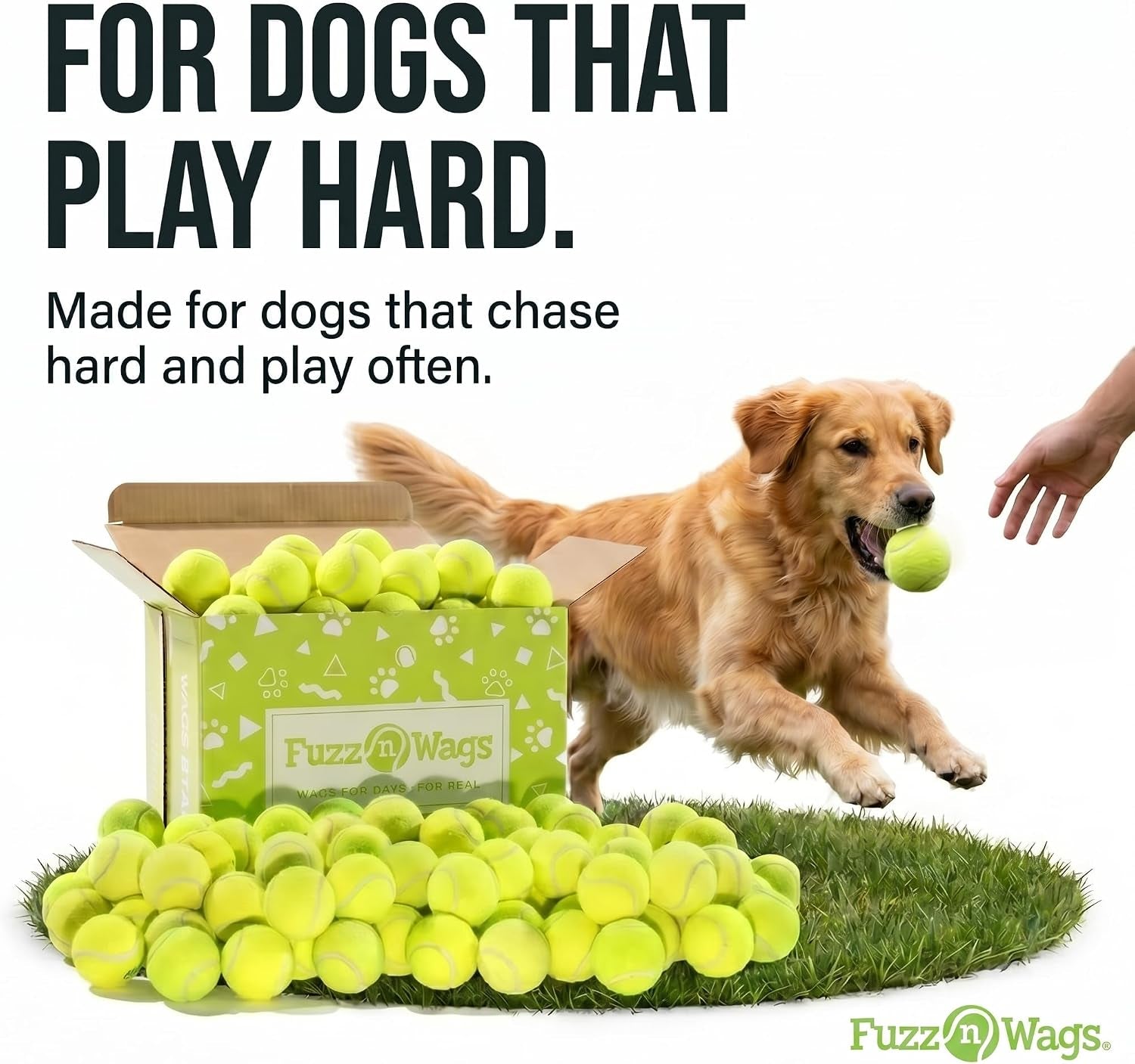 Endless Fetch Box, 100 Tennis Balls for Dogs, Recycled Real Tennis Balls, Bulk Tennis Balls for Dogs, Recycled Used Tennis Balls for Fetch & Supervised Dog Play