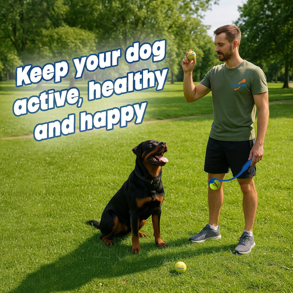 Dog Ball Launcher, Tennis Ball Thrower, Compact Design 13.8" Stick with Medium 2.5" Ball (Blue)