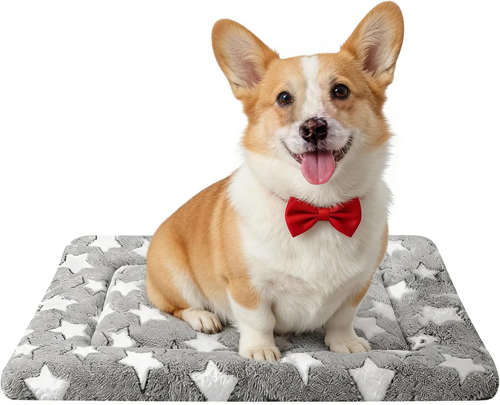 Dog Bed Mat, Reversible Dog Crate Pad for Small Medium Dogs & Cats, Soft Washable Kennel Mat with Non-Slip Bottom, Lightweight Pet Bed for Crate, Cage, Home and Travel(Gray Star, 24" L*18" W*1.5" Th)