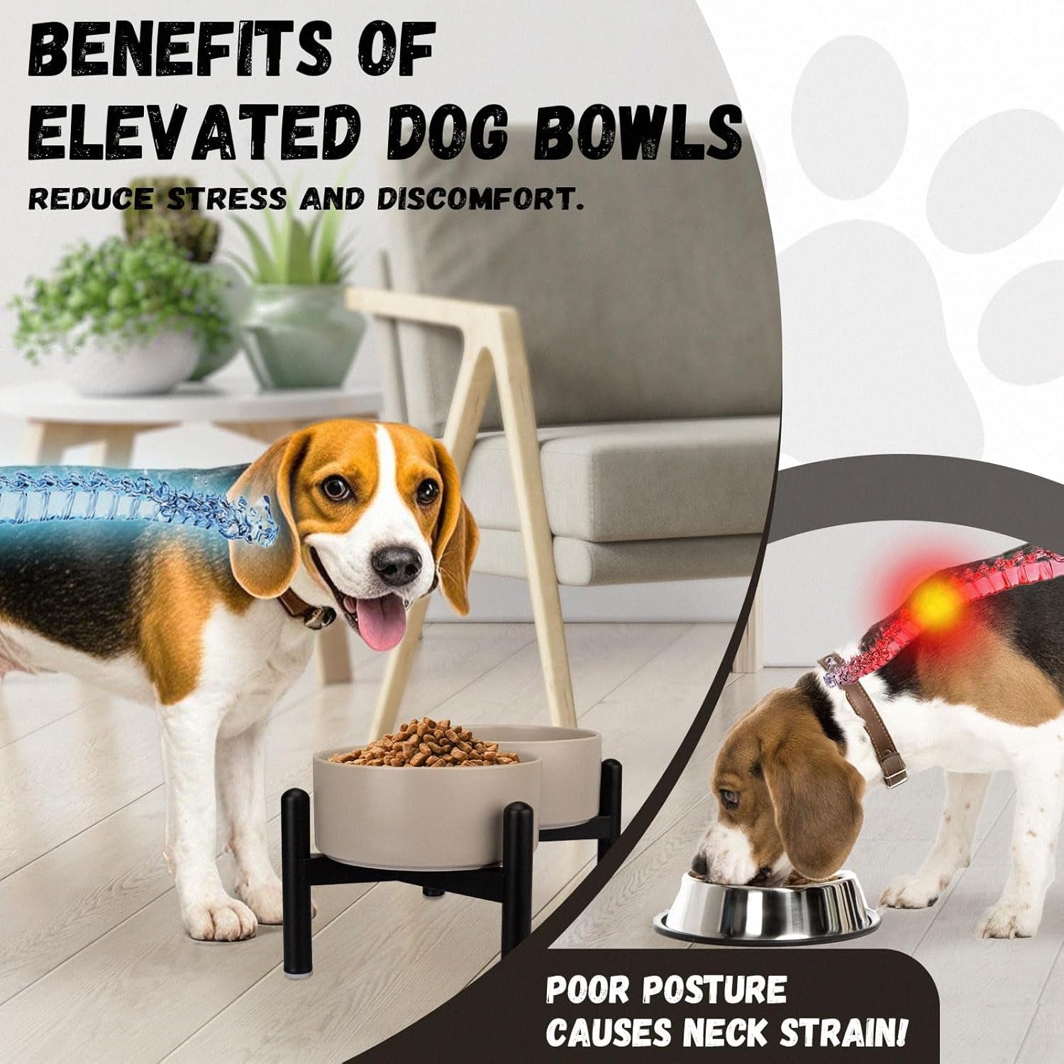Raised Ceramic Dog Bowl Set with Stand, 3.5 Cups Elevated Dog Food Stand | 6.1'' Double Dog Food and Water Bowl Set, Non-Slip Dog Feeding Dishes for Small to Medium Breeds, 29.57 OZ, White
