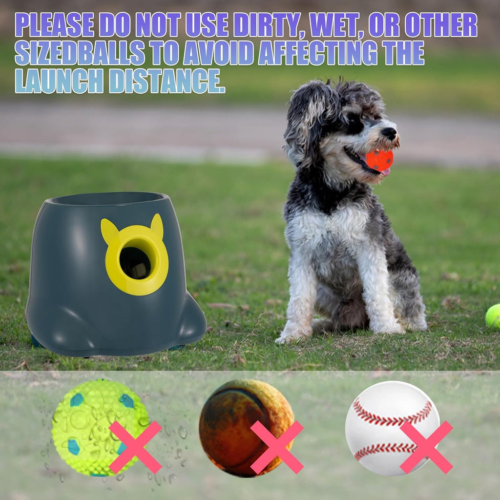 Automatic Ball Launcher for Dogs, Dog Fetch Ball Thrower Launcher, 3 Adjustable Distances, Interactive Pet Self Playing for Small Dogs and Puppies with 10 Balls (2 Inches)