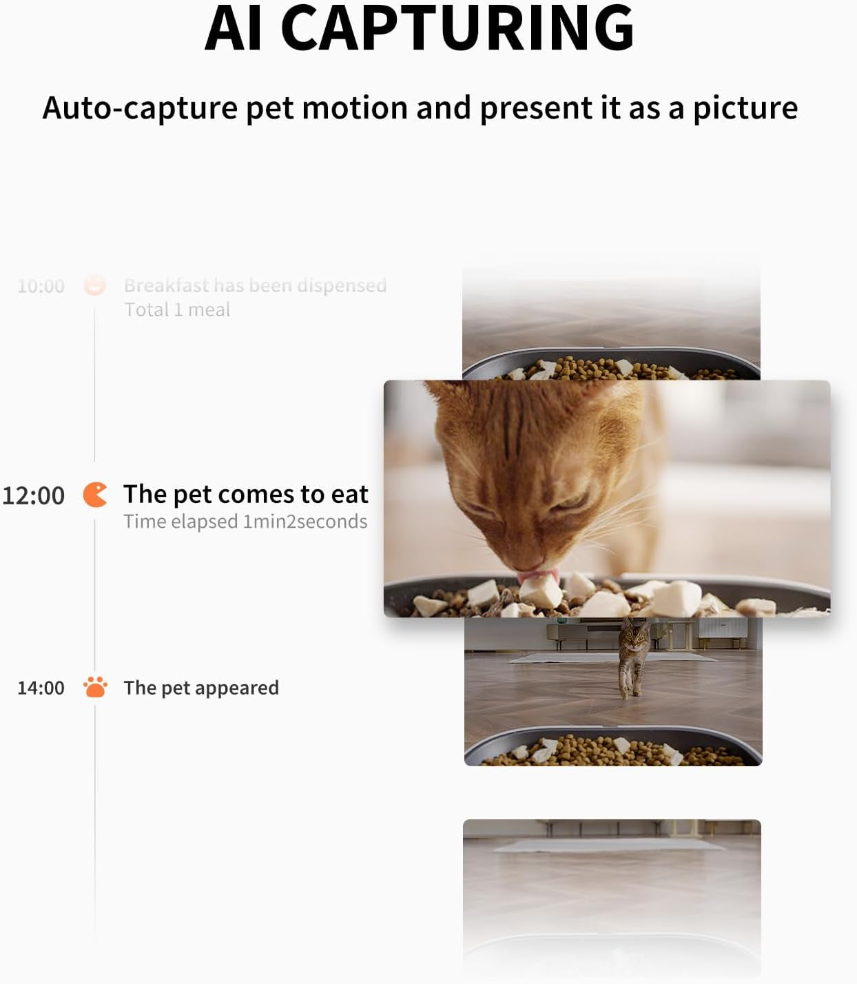 YUMSHARE DUAL-HOPPER Automatic Pet Feeder and EVERSWEET 3 PRO Cat Dog Water Fountain,1080P HD Camera Cat Dog Feeder Food Dispenser+Stainless Steel Wireless Pump Water Fountain,Smart App Control