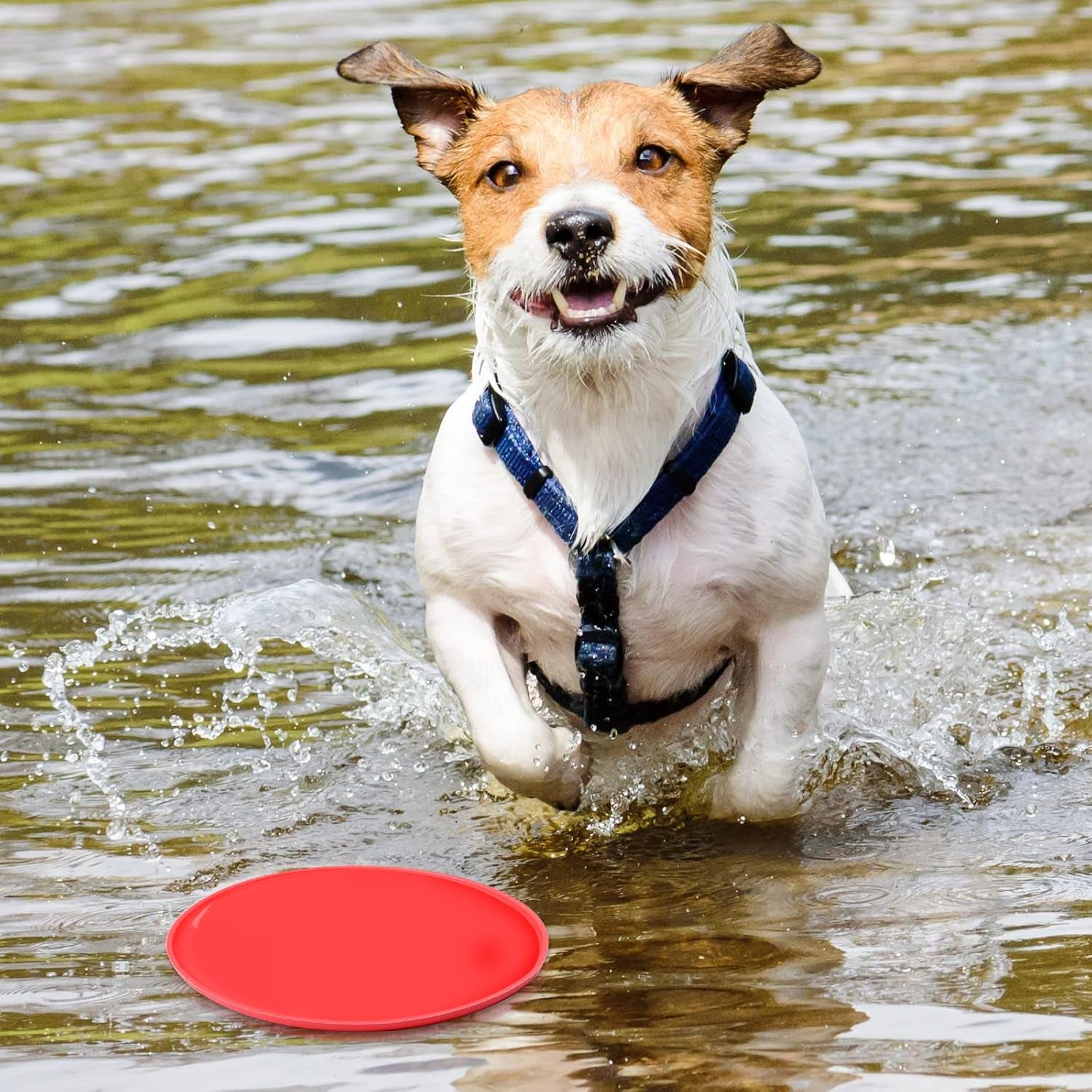 15 Pack Dog Flying Disc Silicone Puppy Flyer Toy Soft Dog Floating Saucer Indestructible React Faster Training Interactive Toys for Small Medium Puppy Outdoor Sport, 5 Colors